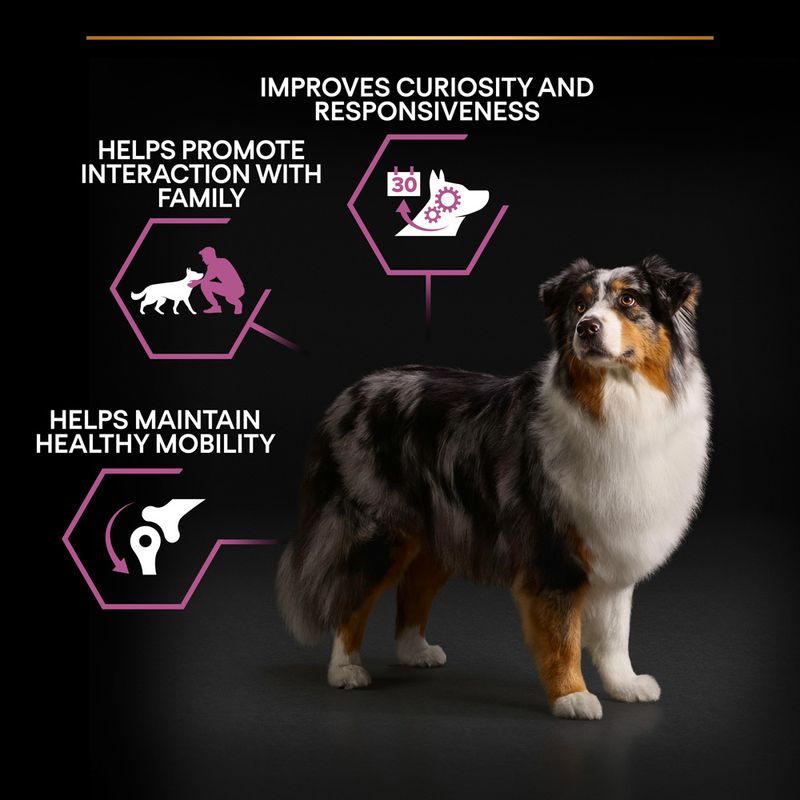 PURINA PRO PLAN Medium & Large Adult 7+ Age Defence 14kg