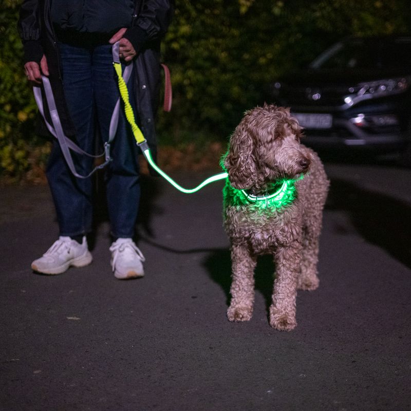 Nomad Tales Spirit USB LED Jogging Lead - Neon Yellow & Grey 180 - 250 cm Length, 25mm Width
