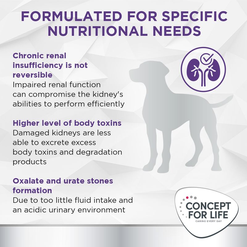 Concept for Life Veterinary Diet Renal 6 x 400g