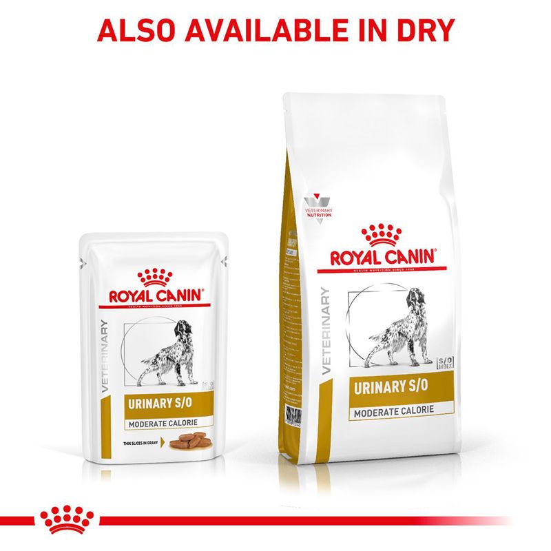 Royal Canin Veterinary Dog - Urinary S/O Moderate Calorie 12 x 100g