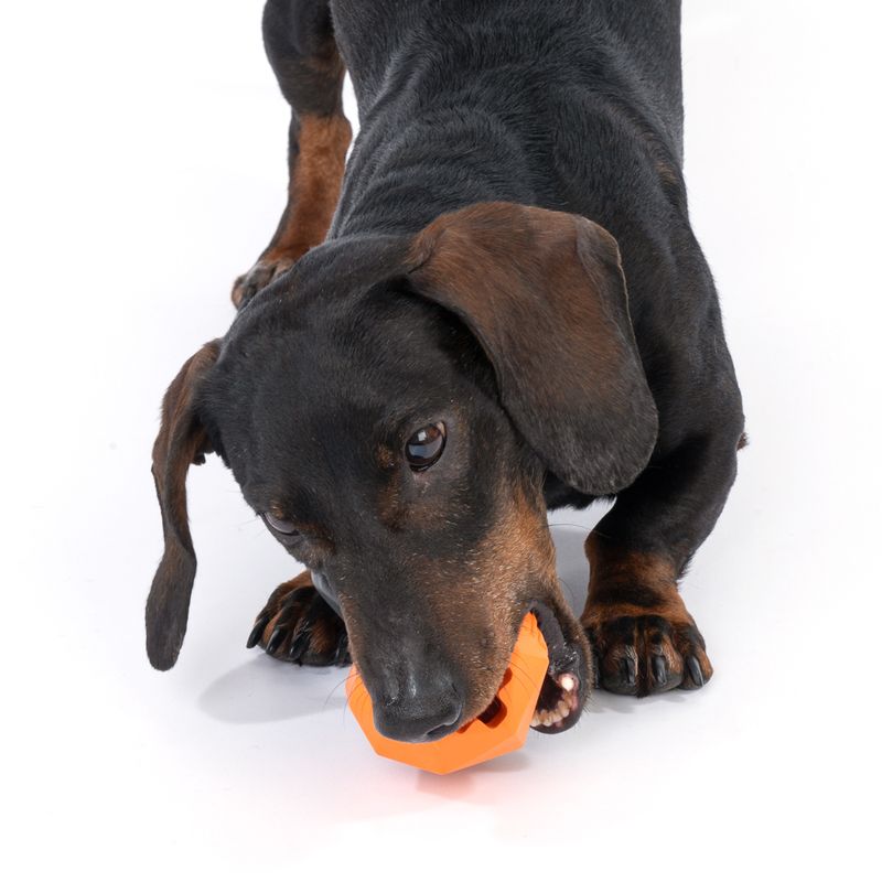 TIAKI Rubber Kettlebell Chew Toy 1 Toy