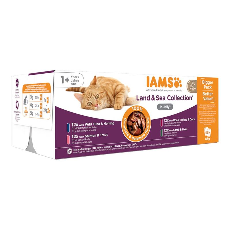 IAMS Advanced Nutrition Adult – Land & Sea Collection in Jelly (12 x 85g)
