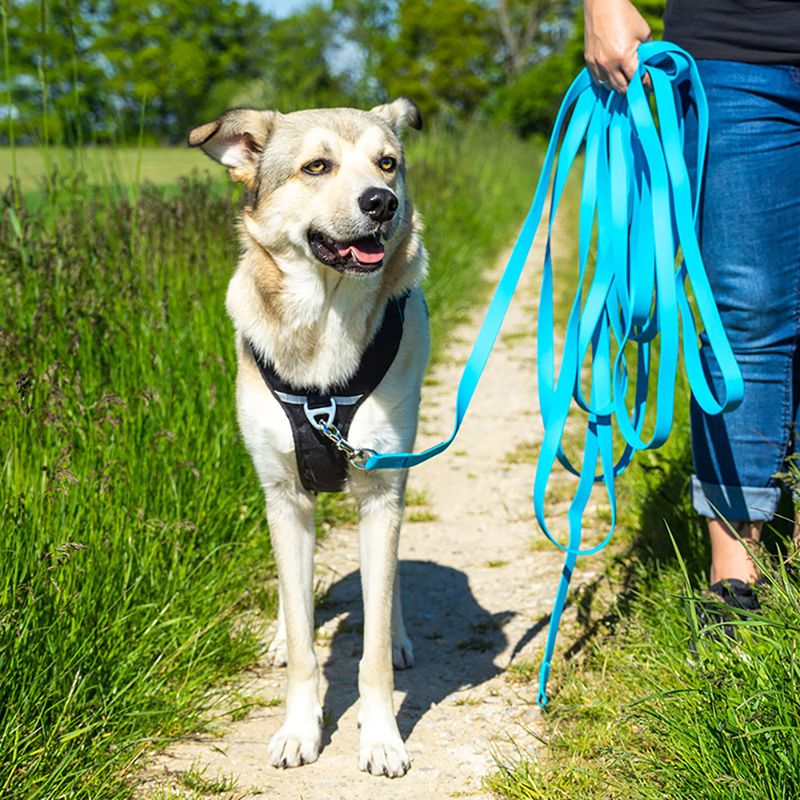 Pawz & Pepper Strong Tracking Line - Blue 5m length, 20mm width
