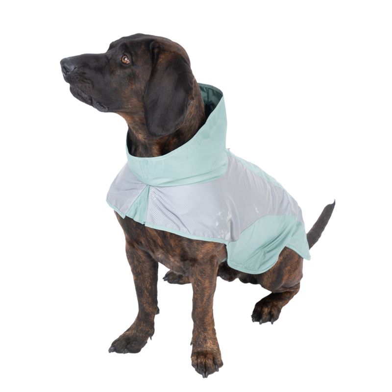 Nomad Tales Spirit Reflective Dog Raincoat - Mint approx. 35cm (Back Length)