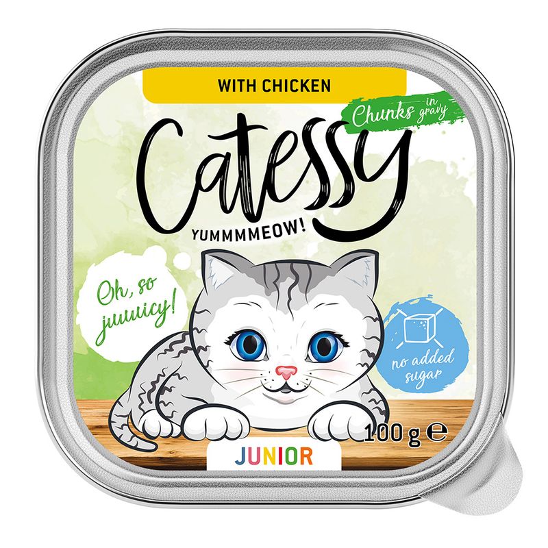 Catessy Junior Chunks in Gravy Mixed Pack Saver Pack: 32 x 100g