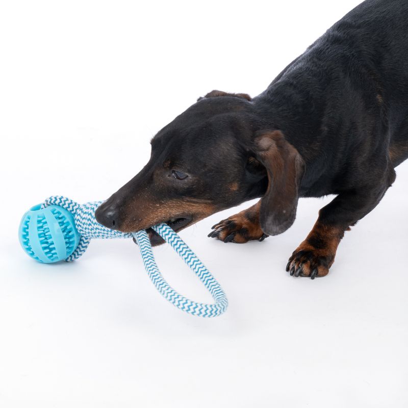 TIAKI Rope with TPR Ball 1 Toy