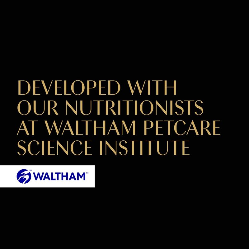 Sheba Classic Soup Multipack 80 x 40g Chicken