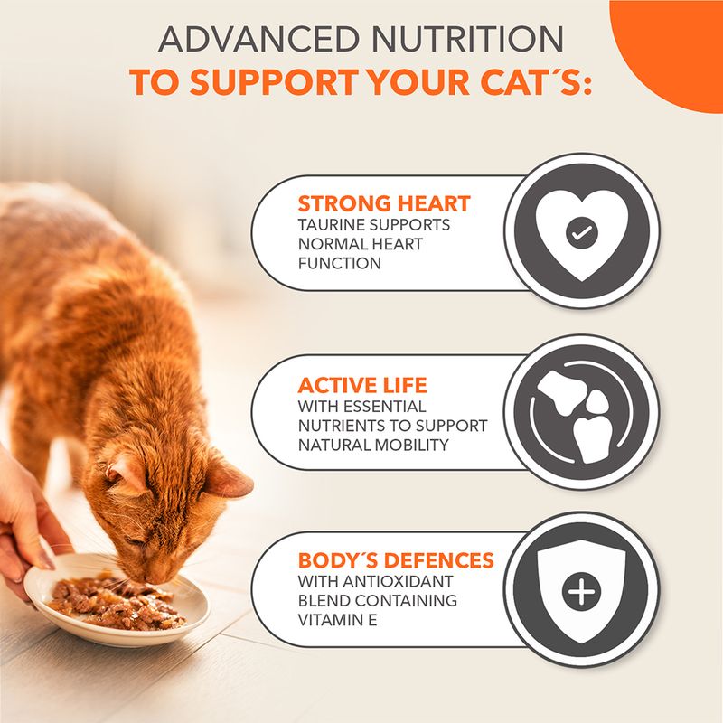 IAMS Advanced Nutrition Senior 7+ Land Collection in Jelly 12 x 85g (3 Flavours)