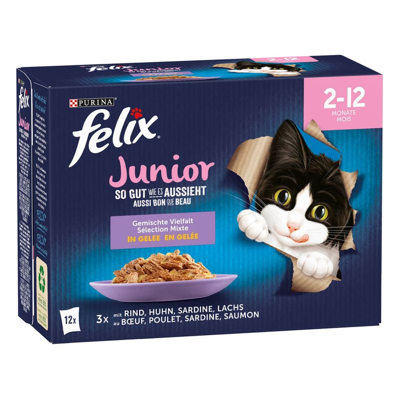 Felix Junior As Good As It Looks Mixed Selection (12 x 85g)