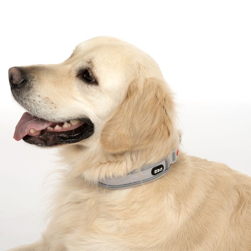 TIAKI Collar Soft & Safe, grey matching leash: 200 cm long, 20 mm wide