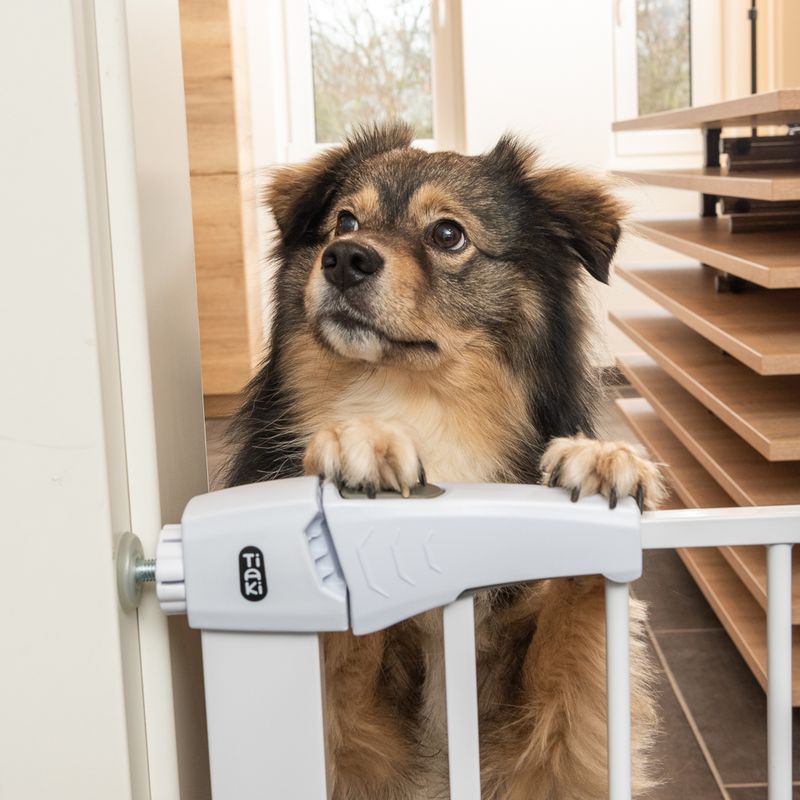 TIAKI White Dog Gate with 7 cm Extension Height 76 cm, width 75 to 82 cm