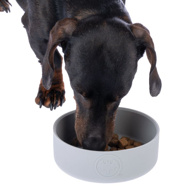 Warner Bros™ DC Batman Silicone Bowl 580ml, diameter 14cm