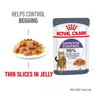 Royal Canin Appetite Control Care in Jelly 12 x 85g