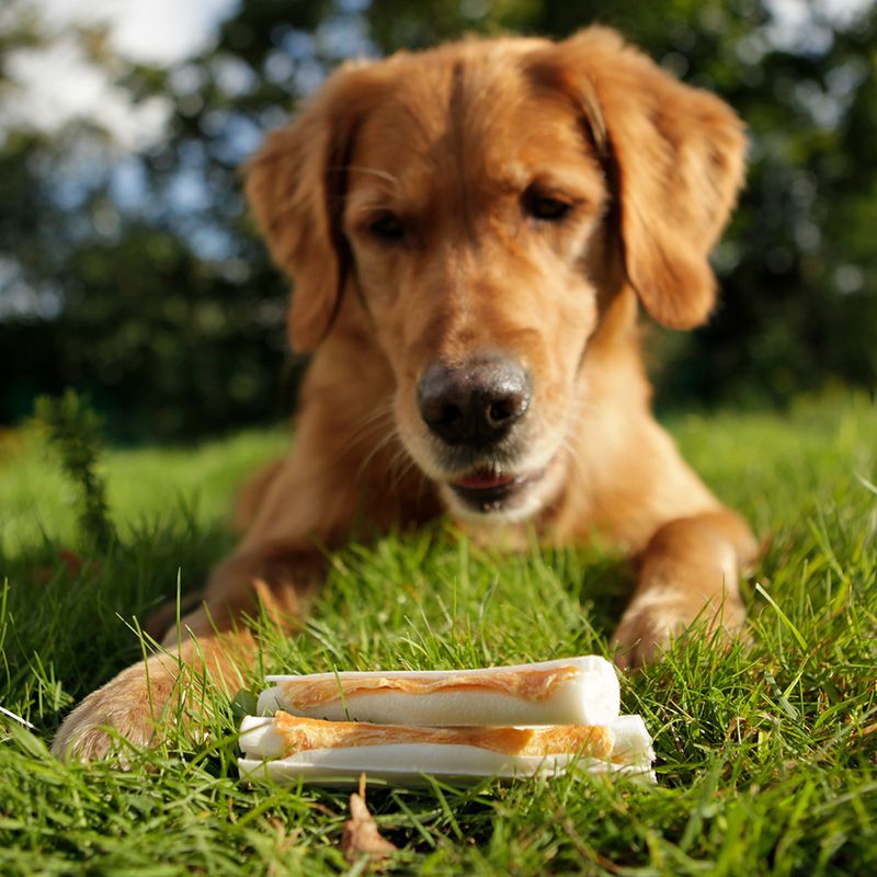 8-in-1 Delights Chicken Dog Chews 3 Pack Chew Stick, 75g