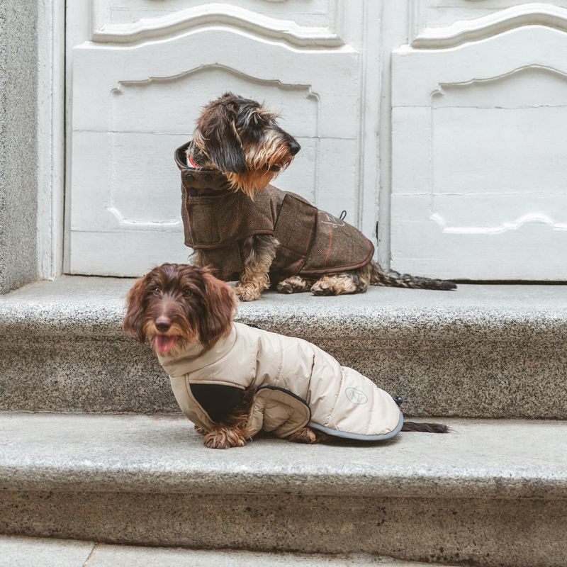 Nomad Tales Bloom Dog Coat - Quilted Comfort approx. 45cm Back Length