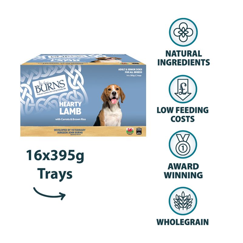 Burns Wet Food for Dogs 16 x 395g Chicken