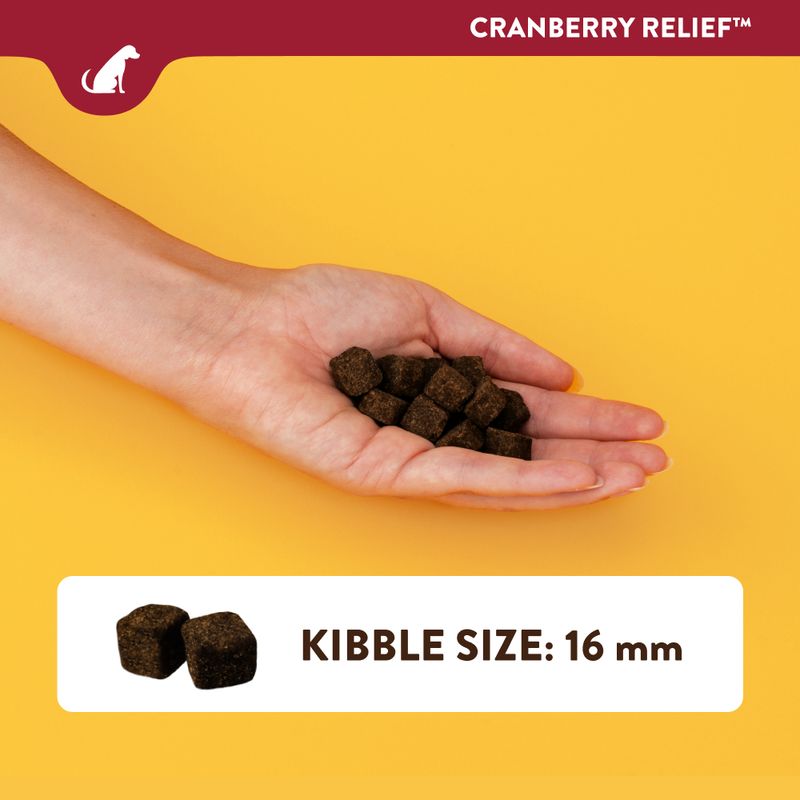NaturVet Cranberry Relief 60 Chews