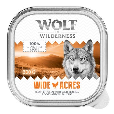Wolf of Wilderness Adult Saver Pack 24 x 300g High Valley - Beef