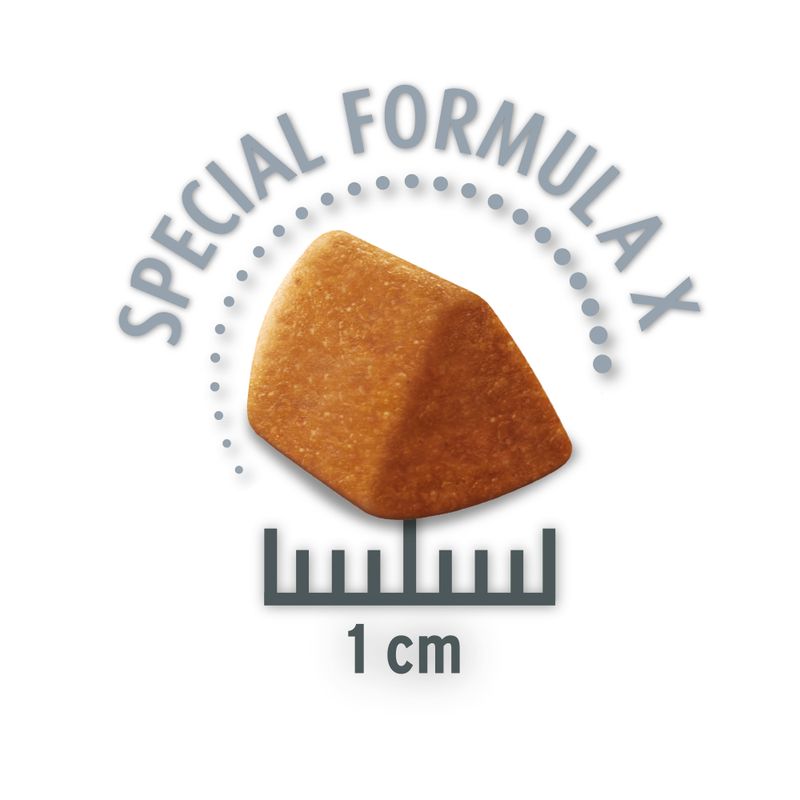 Concept for Life Economy Packs Sterilised Cats - Salmon (2 x 10 kg)