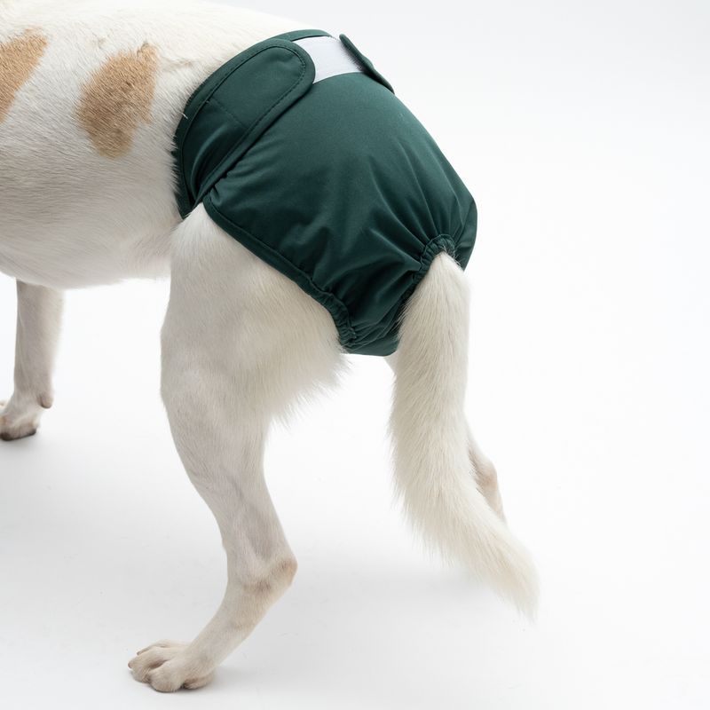 kooa Washable Nappy for Female Dogs Size XS