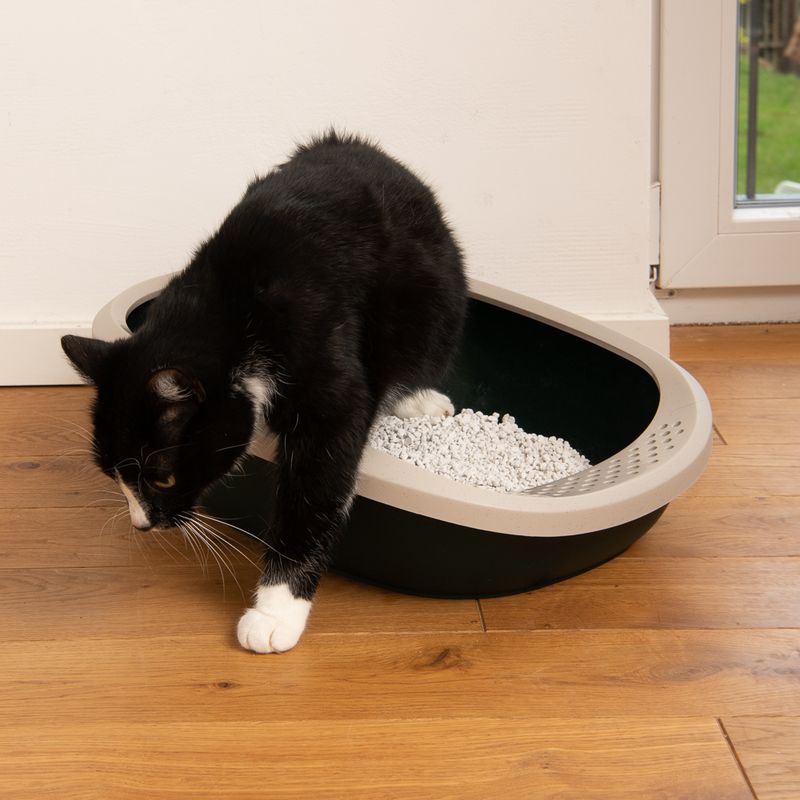 kooa Cat Litter Tray - 100% recycled Plastic Dark green / beige