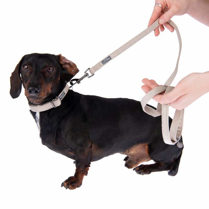 Nomad Tales Blush Necklace, taupe Size XS: 24 - 36 cm neck circumference, W 10 mm