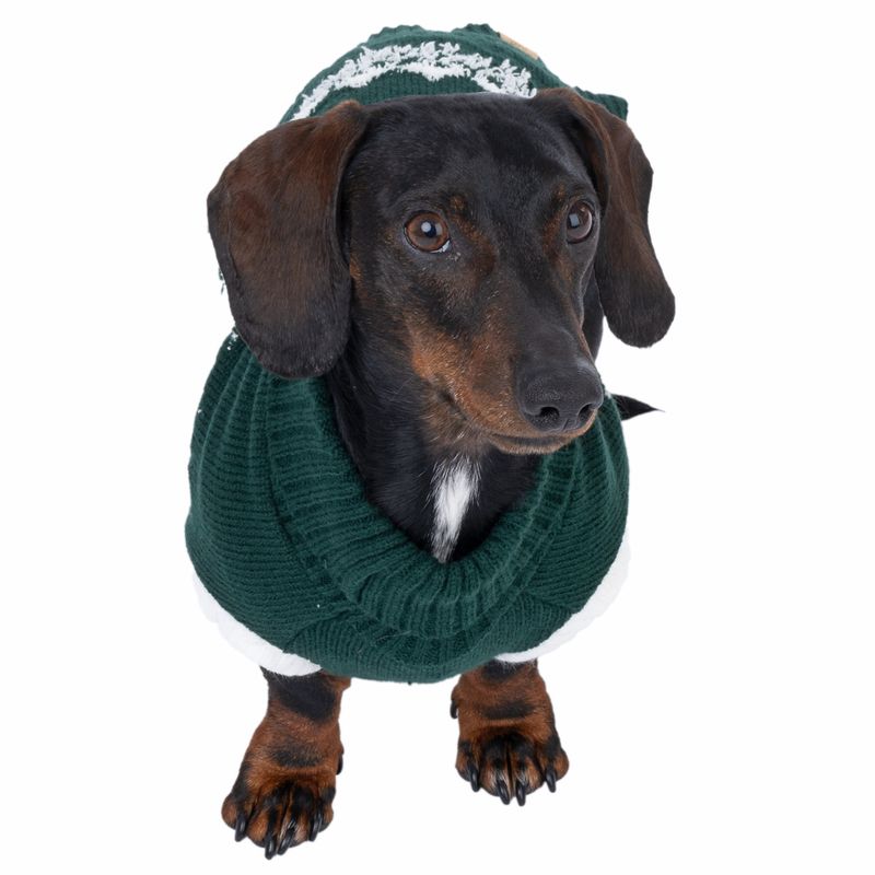 TIAKI Reindeer Dog Jumper approx. 45cm (Back Length)