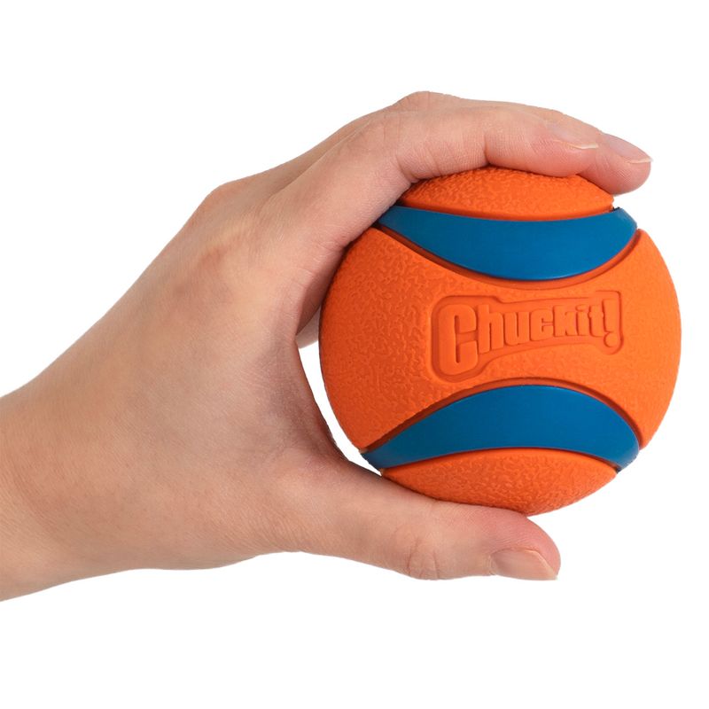 Chuckit! Ultra Ball Size S: 2 Balls, Diameter 5.1cm
