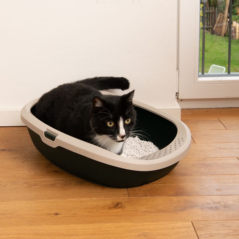 kooa Cat Litter Tray - 100% recycled Plastic Dark green / beige