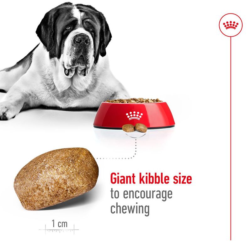 Royal Canin Giant Adult 15kg