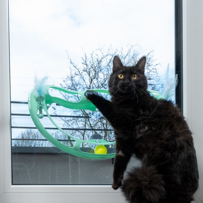 TIAKI Wave Circuit Cat Toy 1 Toy