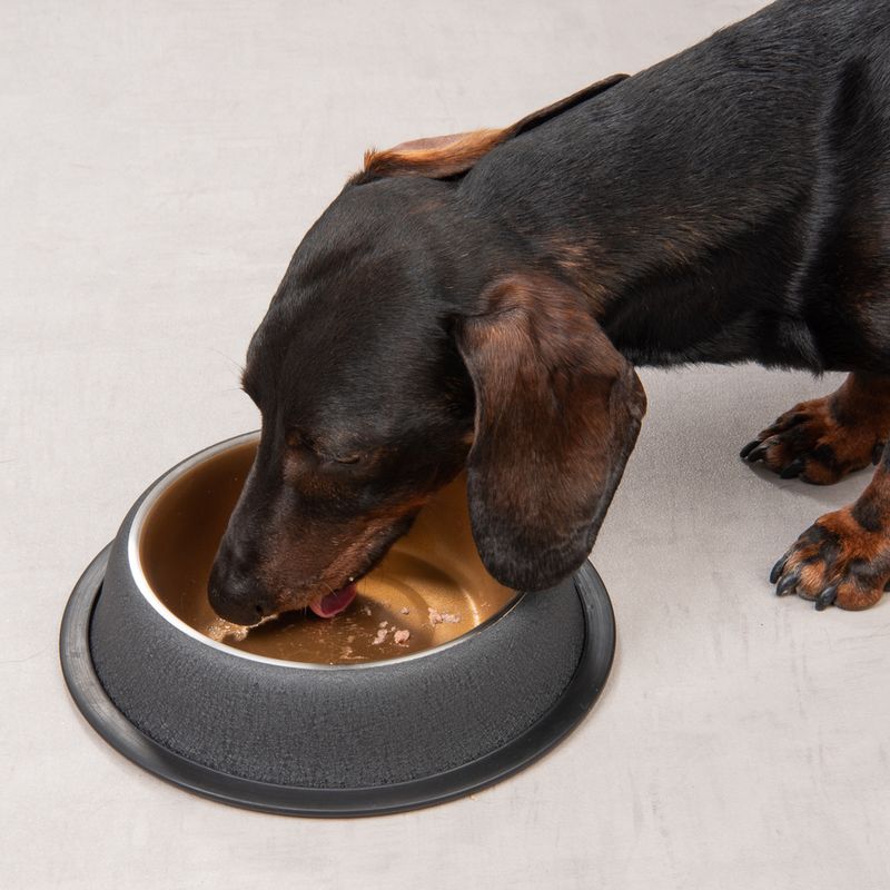 Modern Living El Dorado Food Bowl 200ml (15.5cm diameter)