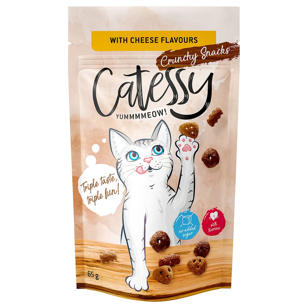Catessy Crunchy Snacks 65g with Duck, Turkey & Chicken