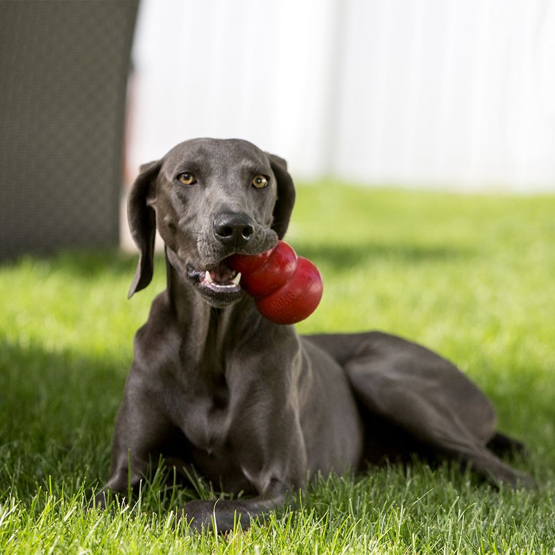 KONG Classic Red Extra Small