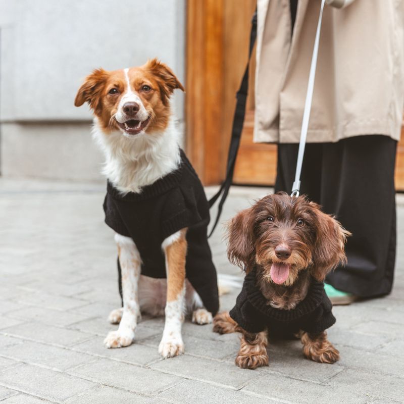 Nomad Tales Blush Dog Jumper - Ebony approx. 35cm Back Length