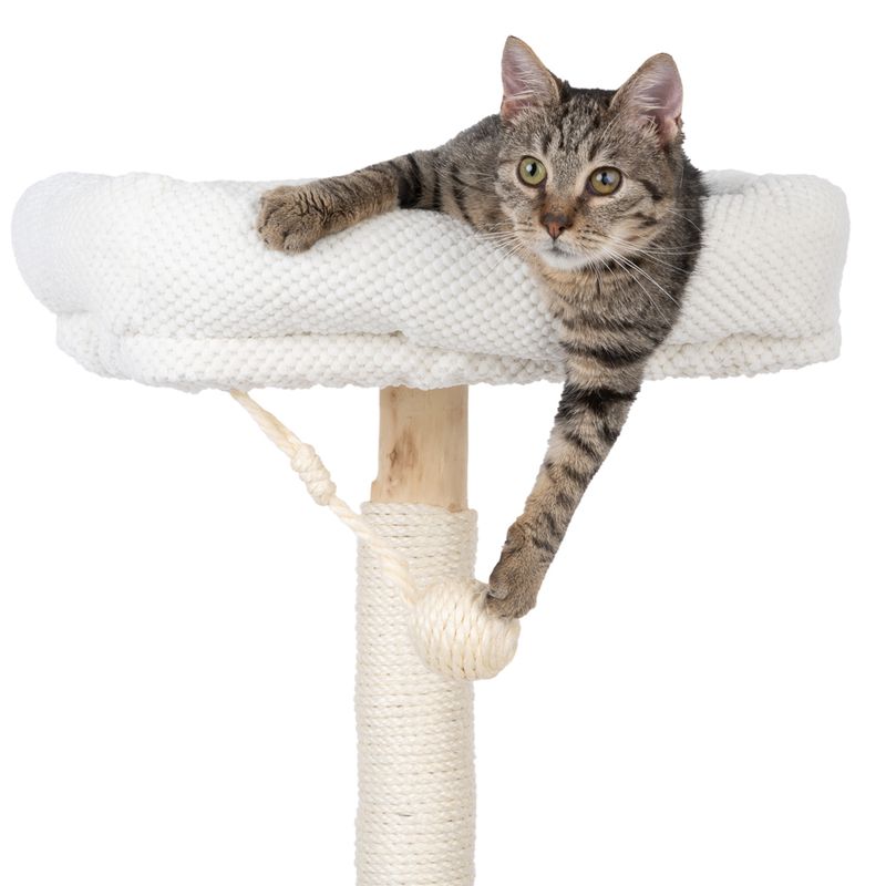 Modern Living Izola Cat Tree Cream / Natural