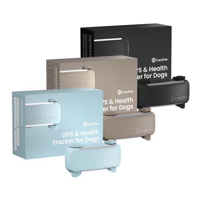 Tractive DOG 6 Tracker for Dogs Mint