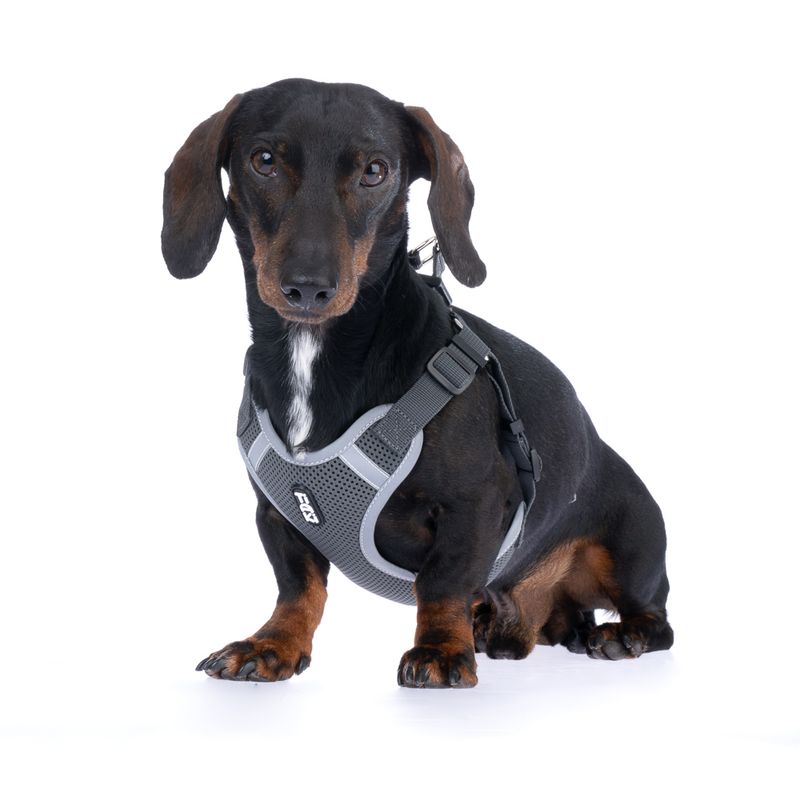 TIAKI Grey Harness Size XS: approx. 38 - 54 cm Chest Circumference