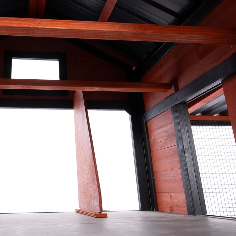 TIAKI Premium Chicken Coop 166 x 88 x 131.4 cm (2 Packages*) (L x W x H)