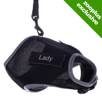 Trixie XCat XL Harness with Lead and Exclusive Stickers Black