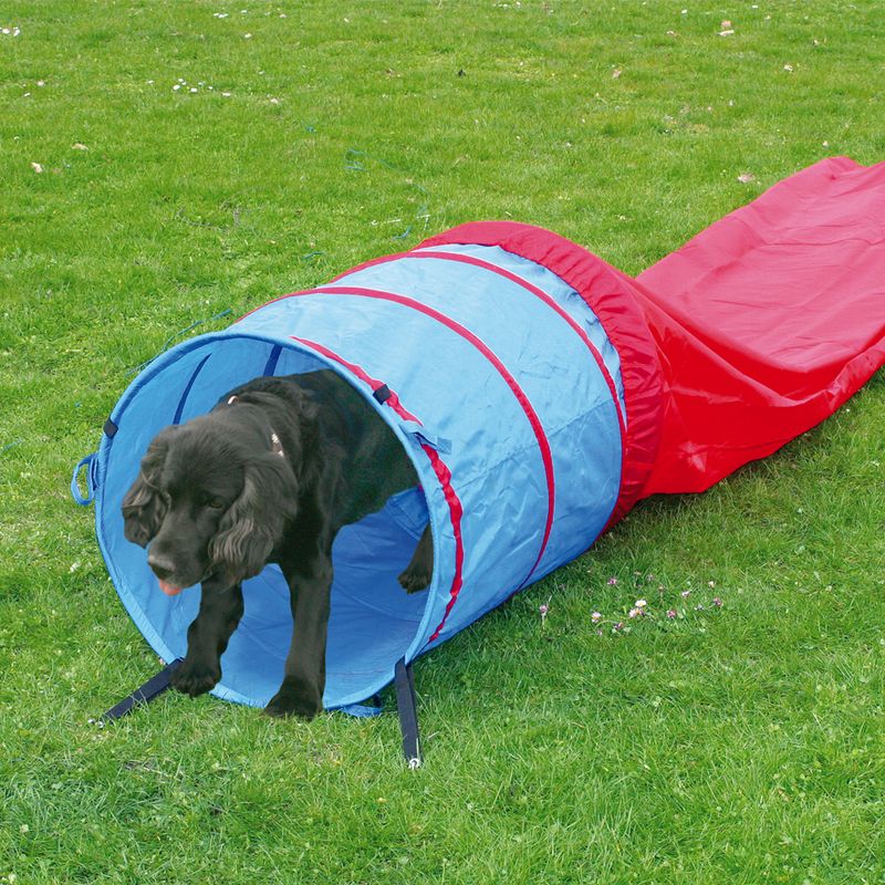 Agility Fun & Sport Tunnel Bag Diameter 60 cm, 5 m long