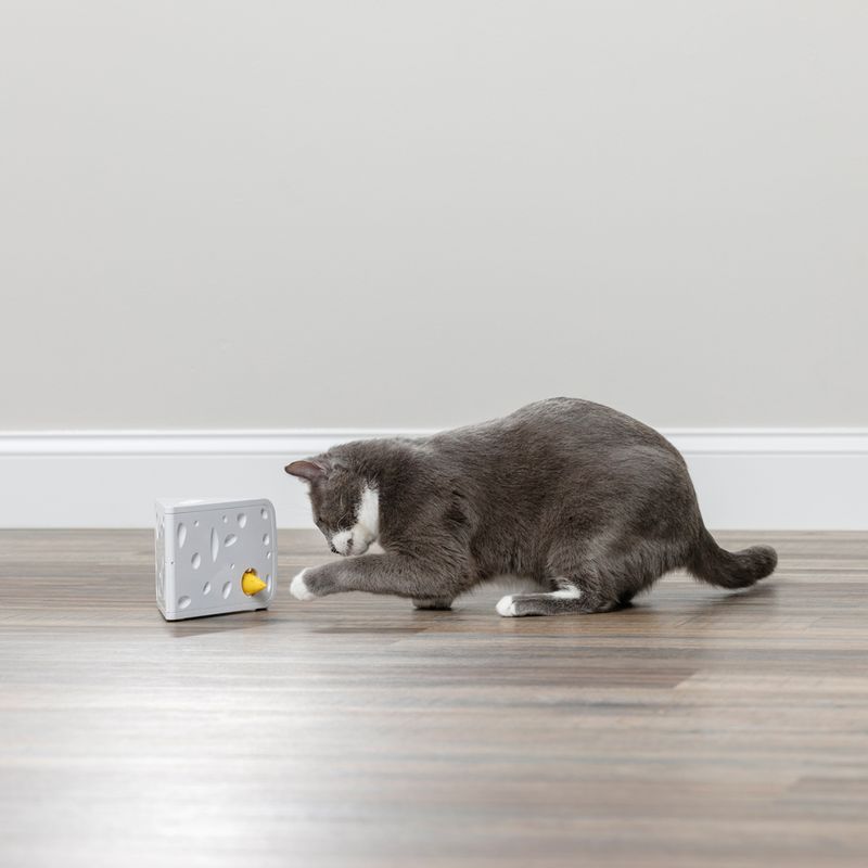 PetSafe® Cheese Automatic Cat Toy 1 Toy