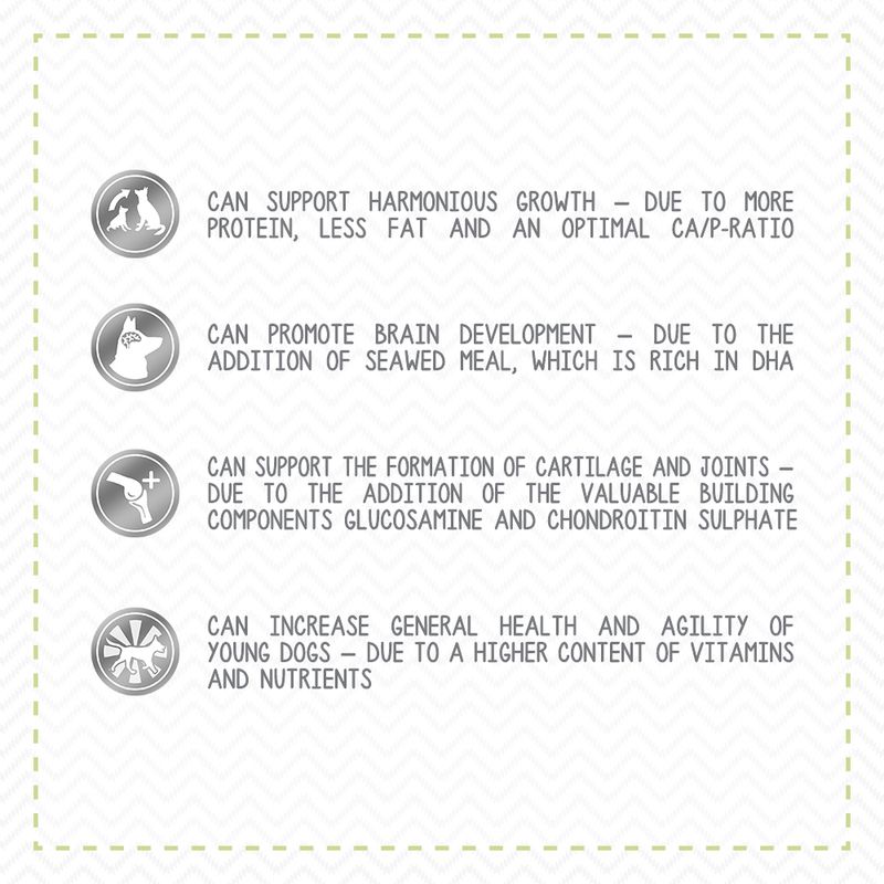 Little Wolf of Wilderness Junior Mixed Trial Pack 2 x 1kg