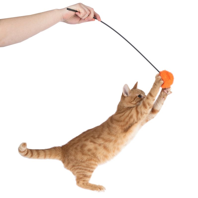 zooplus Basics feather duster pompom 1 Toy