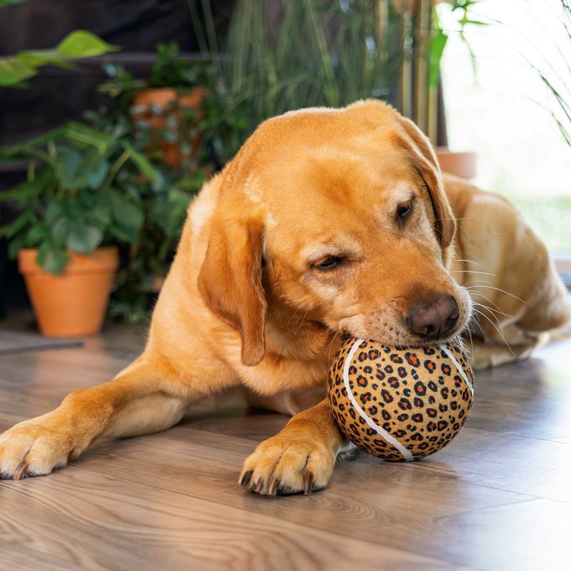 Beeztees Dog Toy Jungle Ball Panther 12.5cm (W)