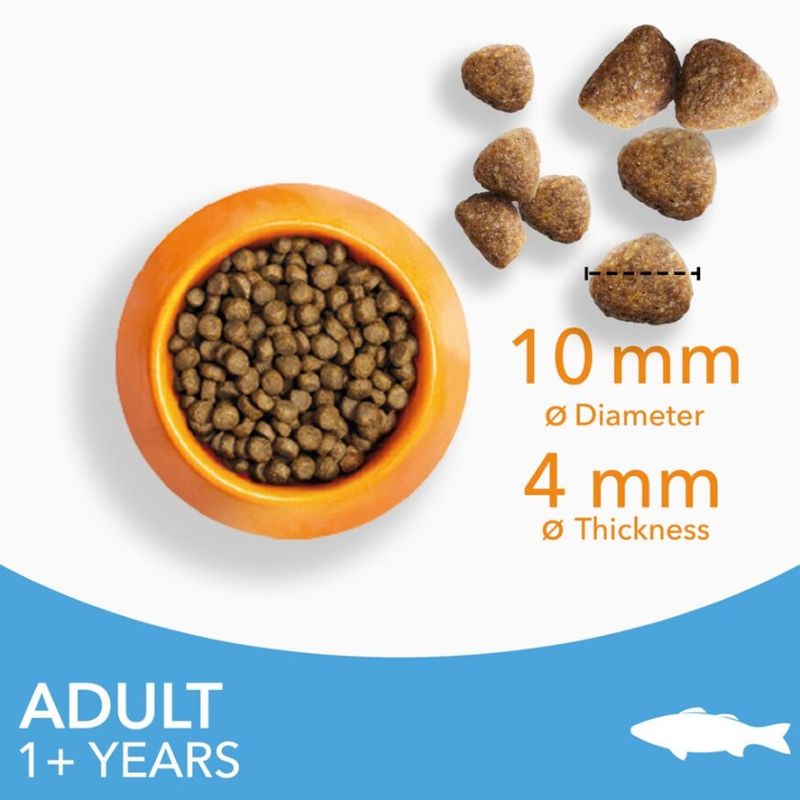 IAMS Advanced Nutrition Adult Cat with Ocean Fish 3kg