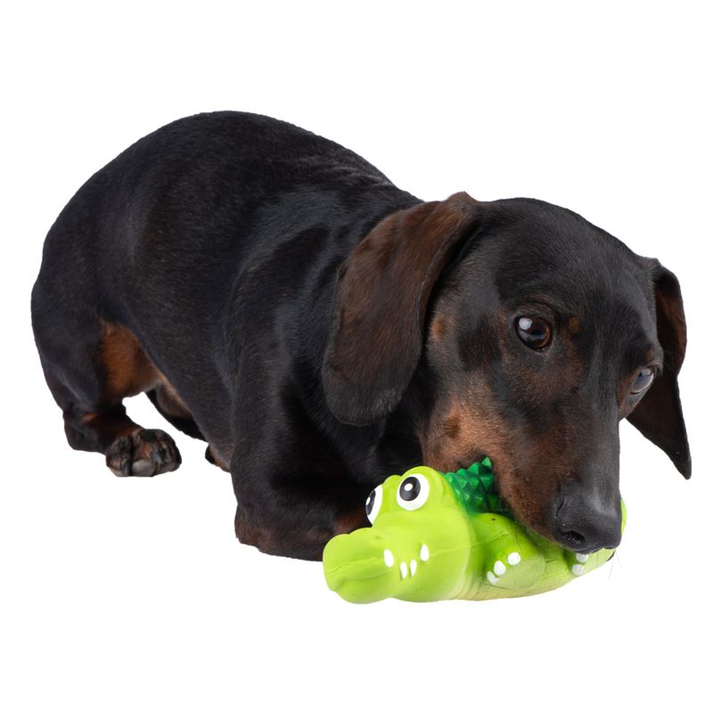 Dog Toy Latex Crocodylus approx. L 20 x W 6 x H 5 cm