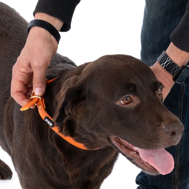 TIAKI Water-Repellent PVC Collar - Orange Size S: 24-36cm (Neck Circumference)