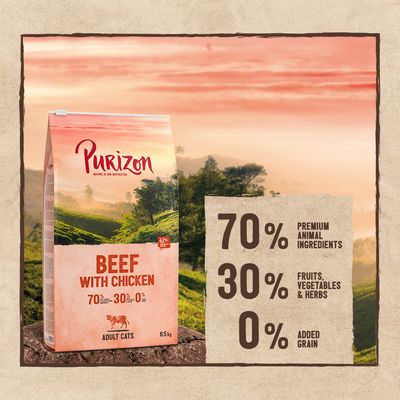 Purizon Adult Grain-Free Beef with Chicken 400g