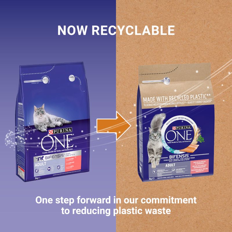 PURINA ONE Adult Salmon & Whole Grains Dry Cat Food 9.75kg